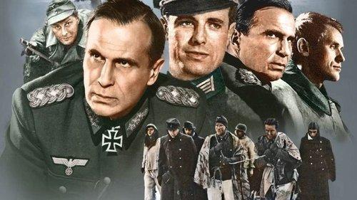 Stalingrad: Dogs, Do You Want to Live Forever? filmas žiurėti online