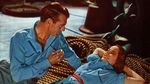 The Cowboy and the Lady filmas žiurėti online