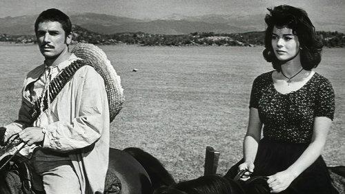 Le Goût de la violence filmas žiurėti online