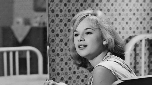 Erotic Stories filmas žiurėti online