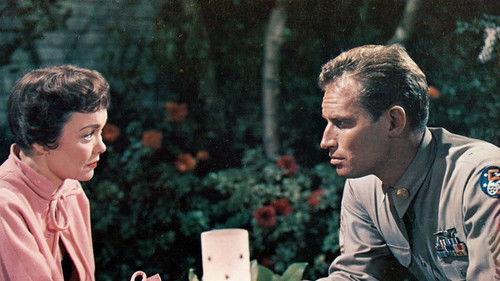 Lucy Gallant filmas žiurėti online