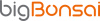 bigBonsai studio logo