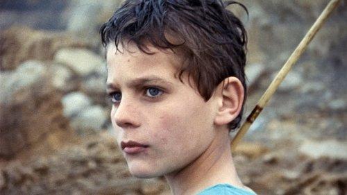 Alex filmas žiurėti online