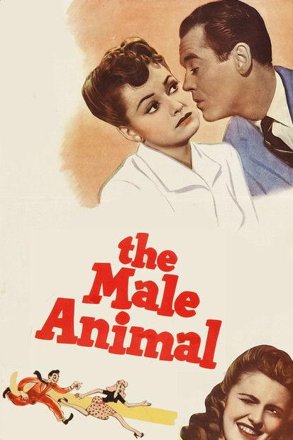 The Male Animal filmas online