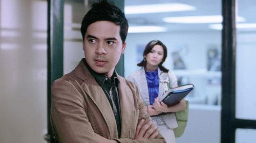 A Very Special Love filmas žiurėti online