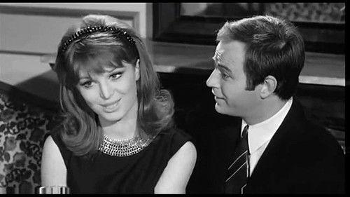 Veneri in collegio filmas žiurėti online