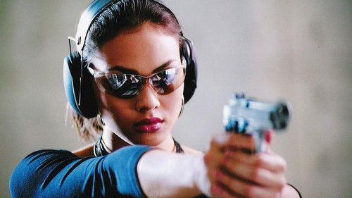 Hit Man File filmas žiurėti online