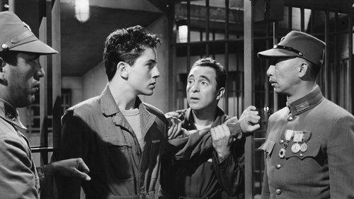 The Purple Heart filmas žiurėti online