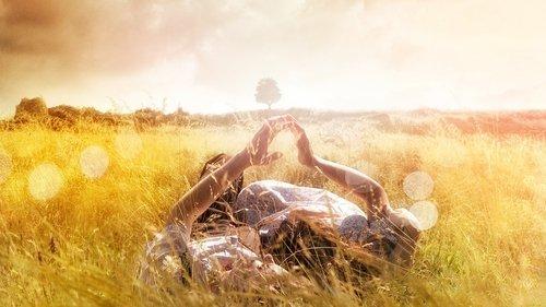 The History of Love filmas žiurėti online