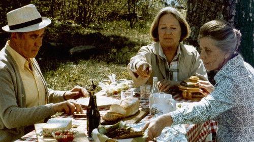 Paradistorg filmas žiurėti online