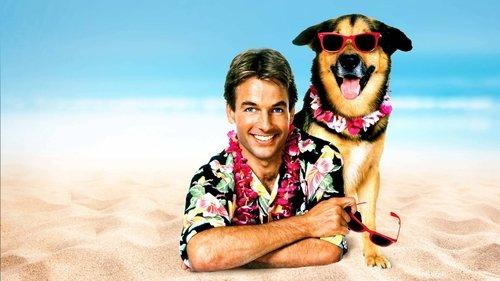 Summer School filmas žiurėti online