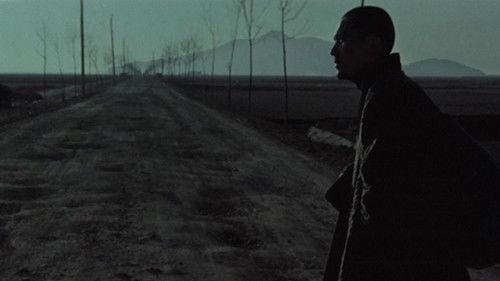 Mandala filmas žiurėti online