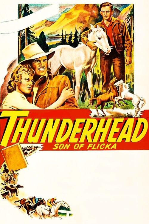 Thunderhead: Son of Flicka filmas online