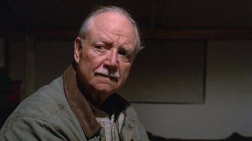 Brothers' Destiny filmas žiurėti online