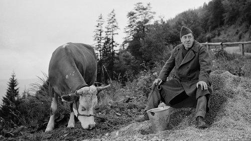 La Vache et le Prisonnier filmas žiurėti online