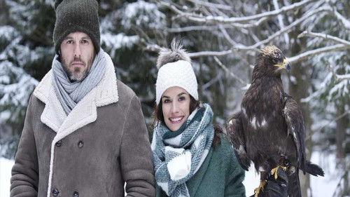 Coup de foudre sur un air de Noël filmas žiurėti online