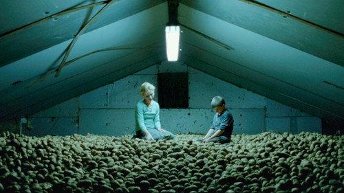 A csendesek filmas žiurėti online