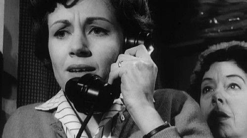 The Silent Playground filmas žiurėti online