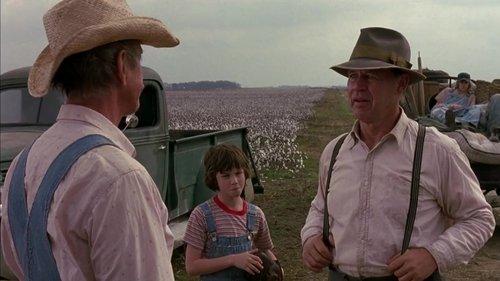 A Painted House filmas žiurėti online