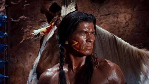 Run of the Arrow filmas žiurėti online