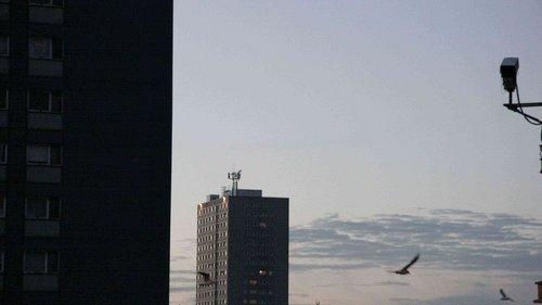 Red Road filmas žiurėti online