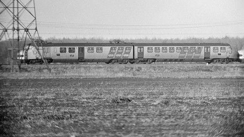 Wijster filmas žiurėti online