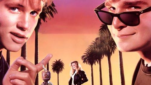 Vairuotojo pažymėjimas filmas žiurėti online