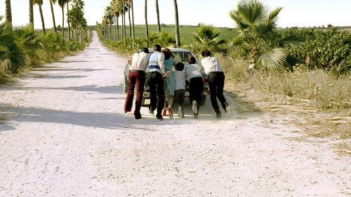 Lost Islands filmas žiurėti online