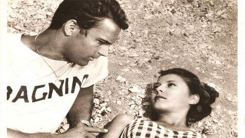 Cerasella filmas žiurėti online