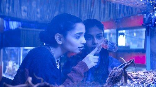 The Shameless filmas žiurėti online