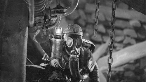 Comradeship filmas žiurėti online