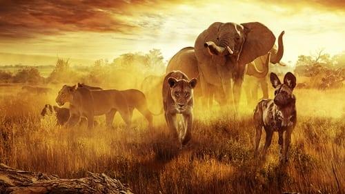 Surviving Paradise: A Family Tale filmas žiurėti online