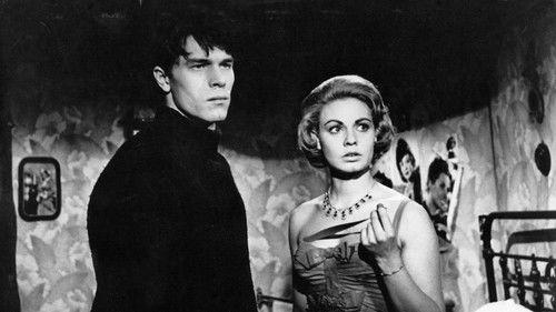 Lovers Woods filmas žiurėti online