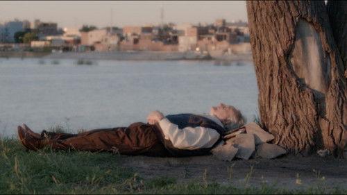 The Sound of Tulips filmas žiurėti online