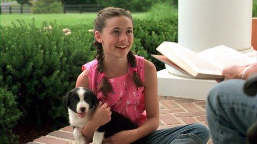 All Roads Lead Home filmas žiurėti online