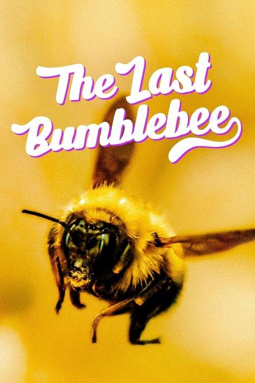 The Last Bumblebee filmas online