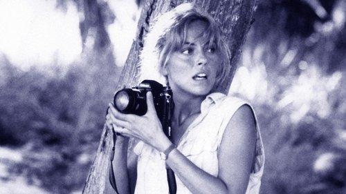 Turtle Beach filmas žiurėti online