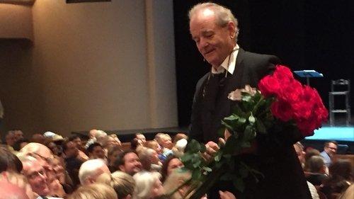 The Bill Murray Experience filmas žiurėti online