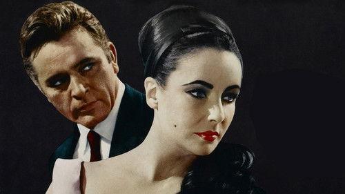 The V.I.P.s filmas žiurėti online