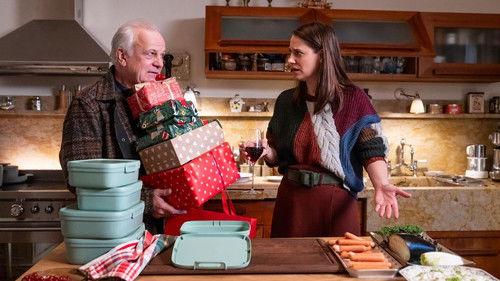 Eine fast perfekte Bescherung filmas žiurėti online