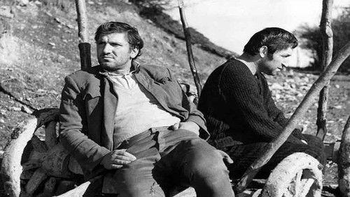 The Man from the Oak Forest filmas žiurėti online