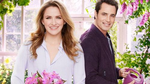 Love Blossoms filmas žiurėti online