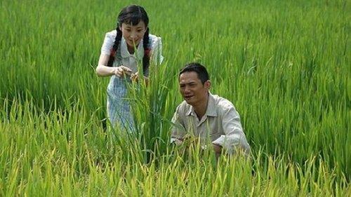 Yuan Long Ping filmas žiurėti online