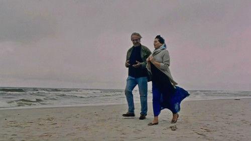 Stary człowiek i pies filmas žiurėti online