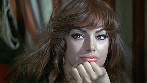 Wanted Johnny Texas filmas žiurėti online