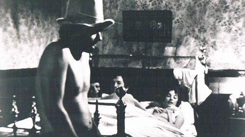 The True Story of Eskimo Nell filmas žiurėti online