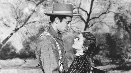 The Farmer Takes a Wife filmas žiurėti online