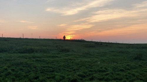 They Who Surround Us filmas žiurėti online