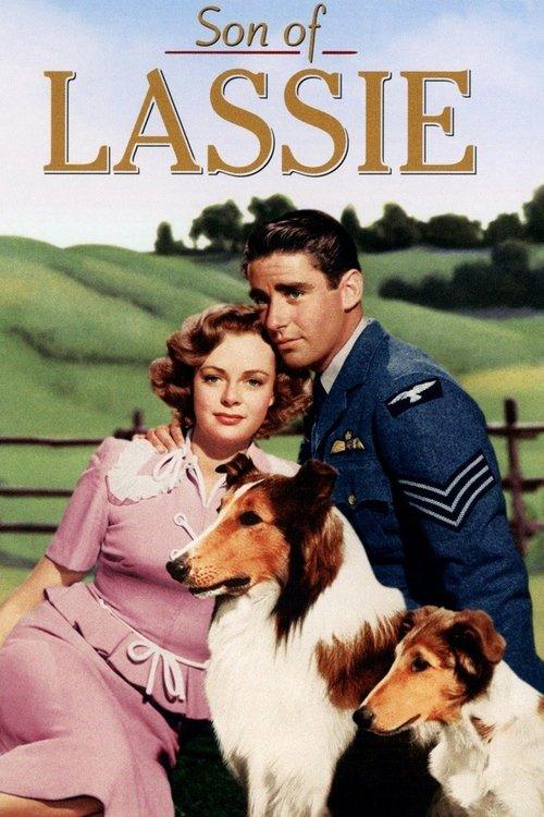 Son of Lassie filmas online