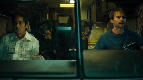 Balls Out: Gary the Tennis Coach filmas žiurėti online